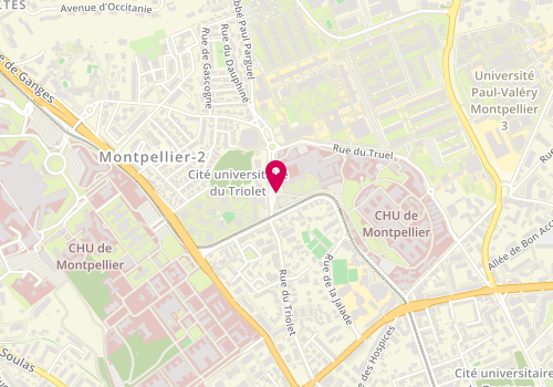 Plan de BABEAU Fanny, 80 Avenue Augustin Fliche, 34295 Montpellier