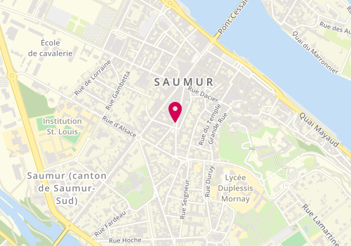 Plan de LUDMAN Daniel, 7 Place Dupetit Thouars, 49400 Saumur